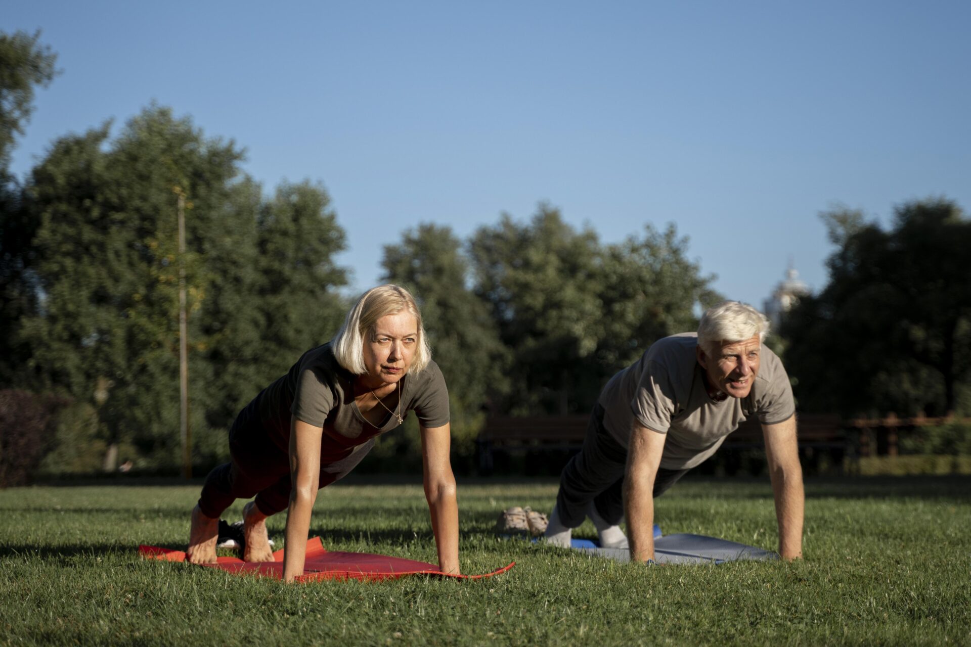 Train 2 Remain waarom ons